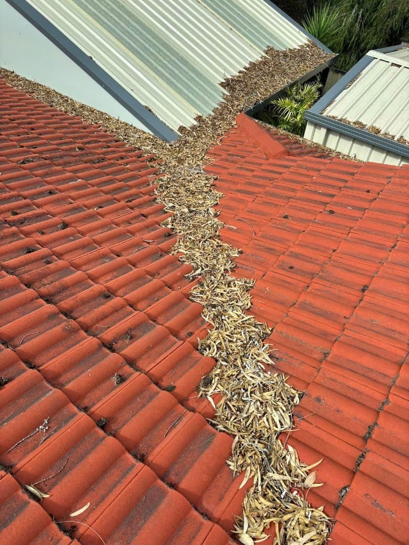 Pristine Gutter Cleaning gutter cleaning work in Munster