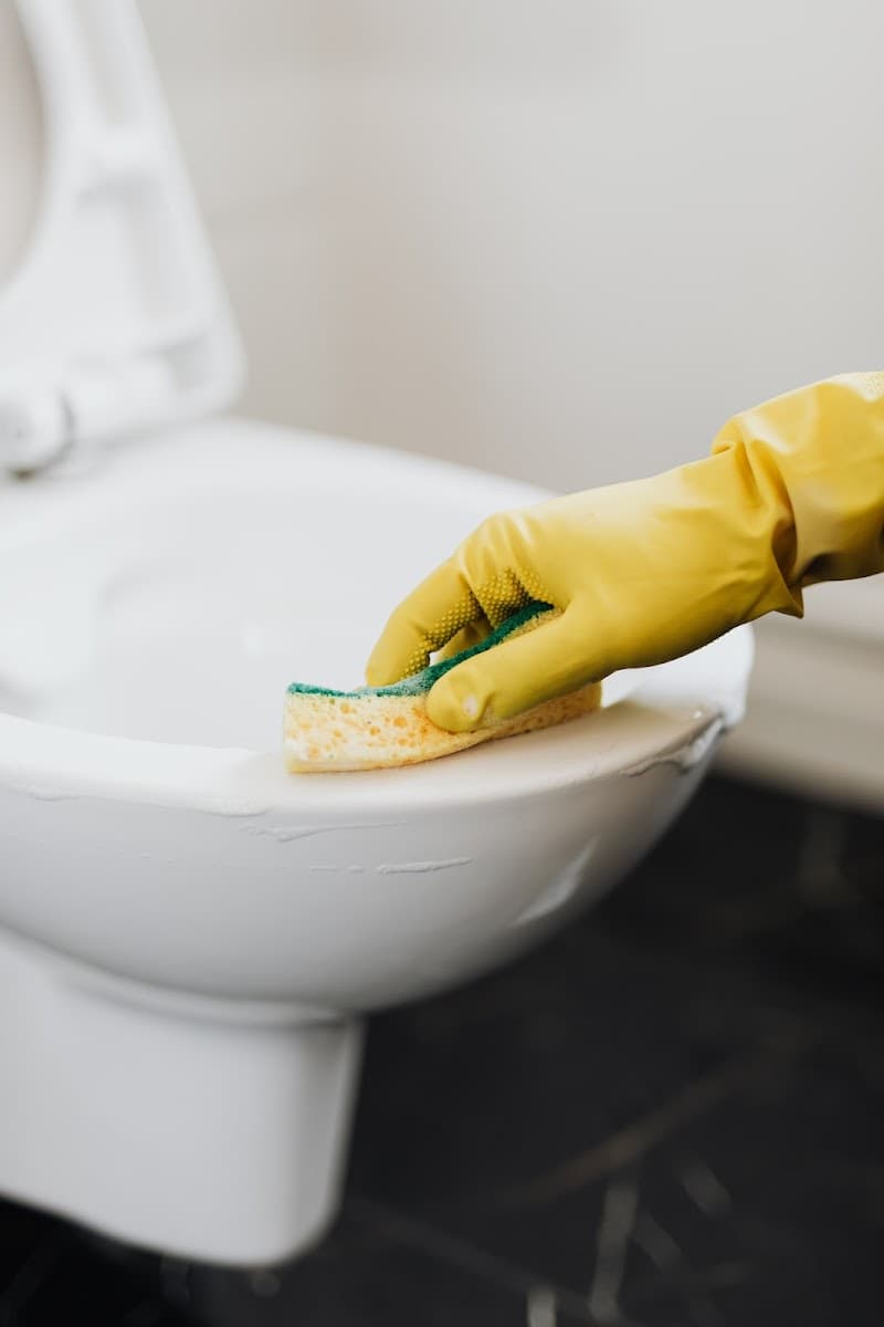 Pristine Homes and Gardens cleaning work in Frankston