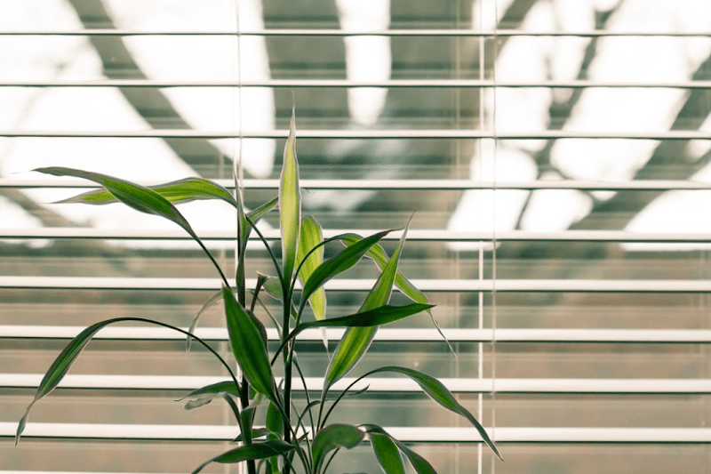 Pro Blinds & Shutters curtains & blinds work in Thornlands