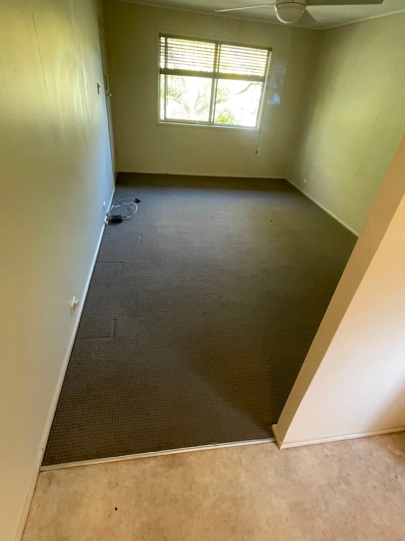 PRO Carpet Cleaning carpet cleaning work in Newstead