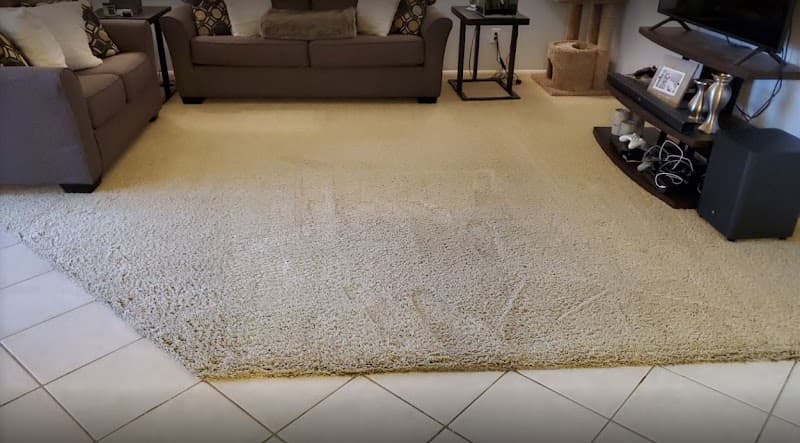 Pro Carpet Cleaning Townsville carpet cleaning work in Townsville City