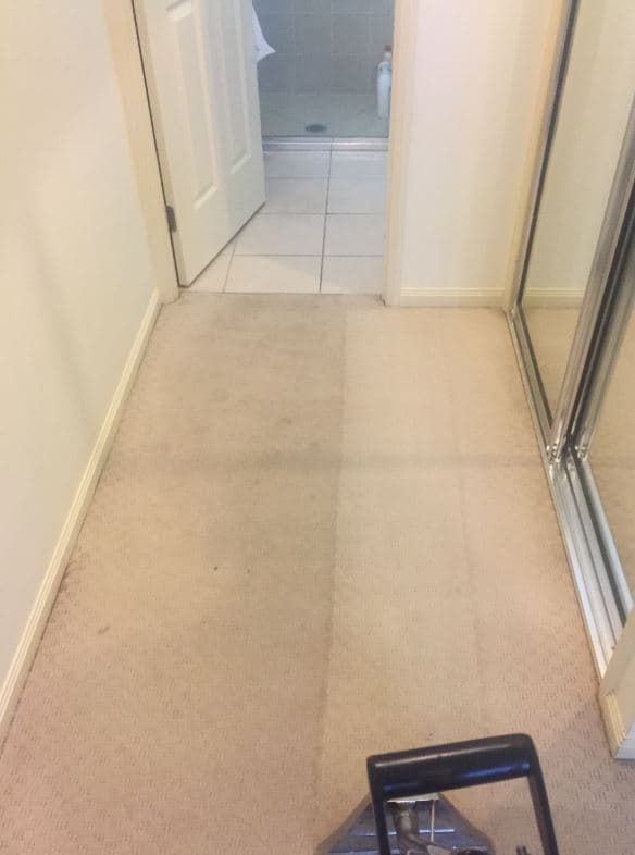 Pro Carpet Cleaning Townsville carpet cleaning work in Townsville City