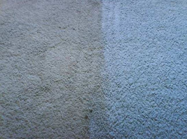 Pro Carpet Cleaning Townsville carpet cleaning work in Townsville City