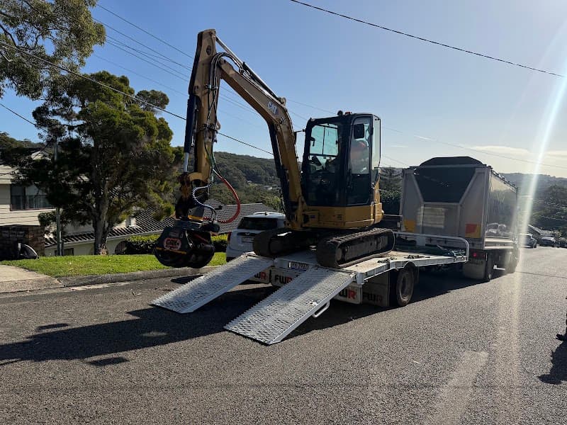 Pro Climbing Tree Services | Arborist in Northern Beaches tree services work in Mona Vale