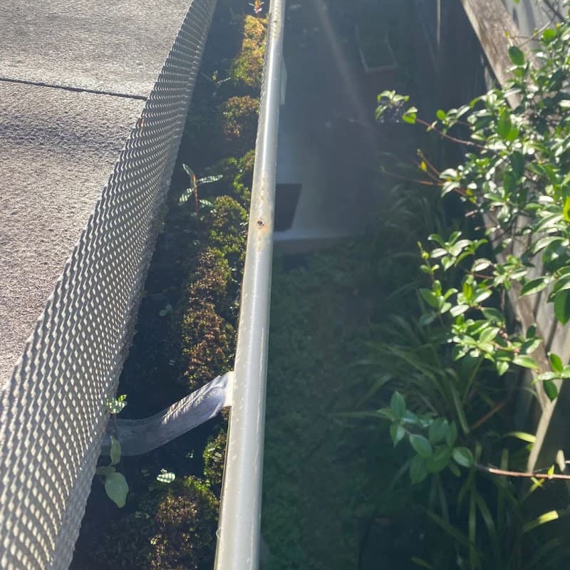 Pro Gutters gutter cleaning work in Queenscliff