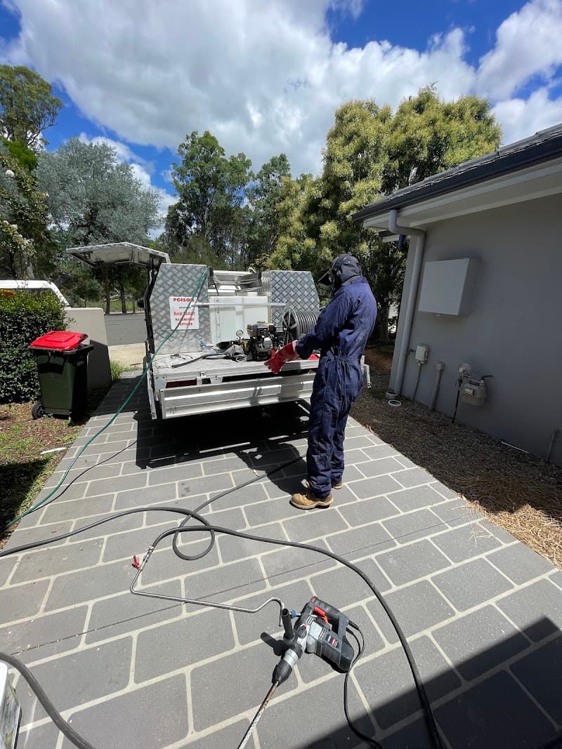 Pro Plus Termite & Pest Control pest control work in Parramatta
