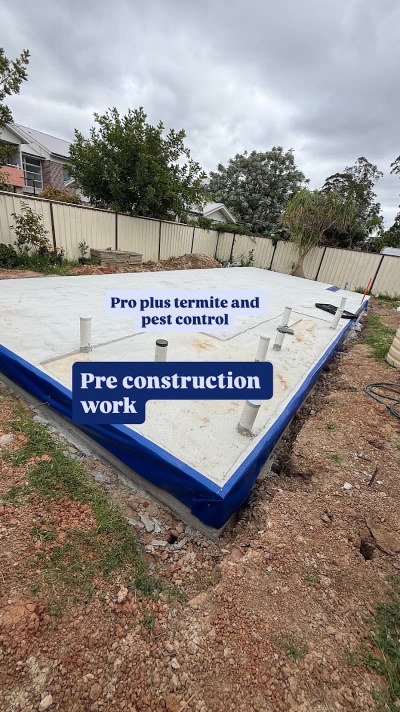Pro Plus Termite & Pest Control pest control work in Parramatta