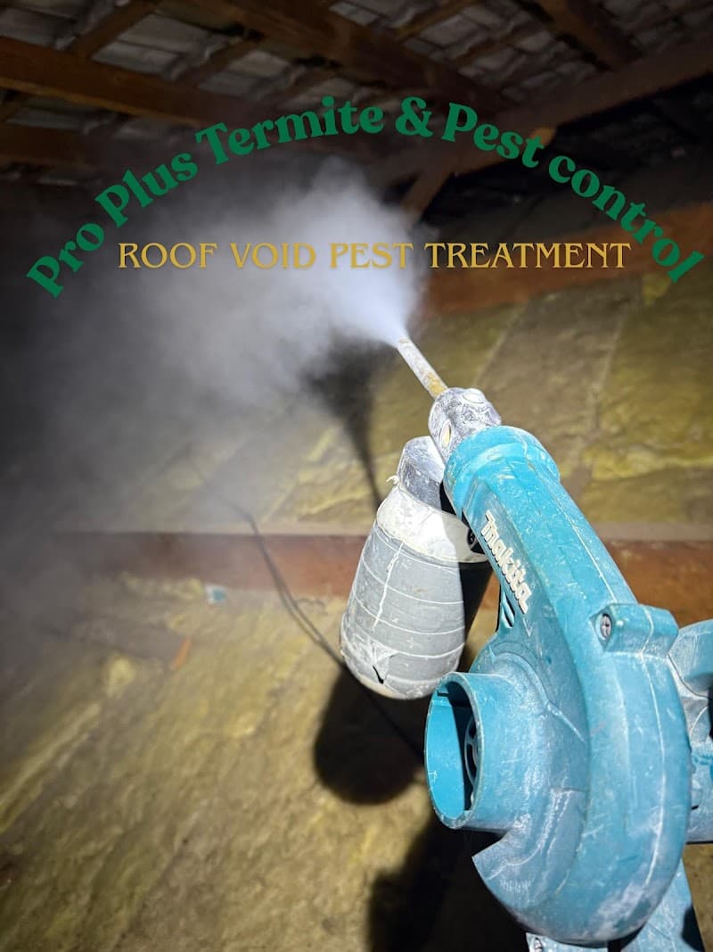 Pro Plus Termite & Pest Control pest control work in Parramatta