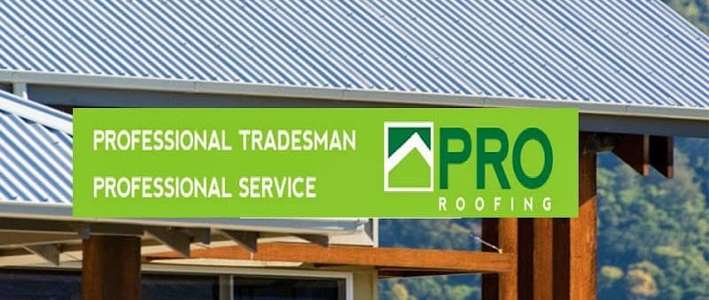 Pro Roofing Brisbane roofing work in Milton