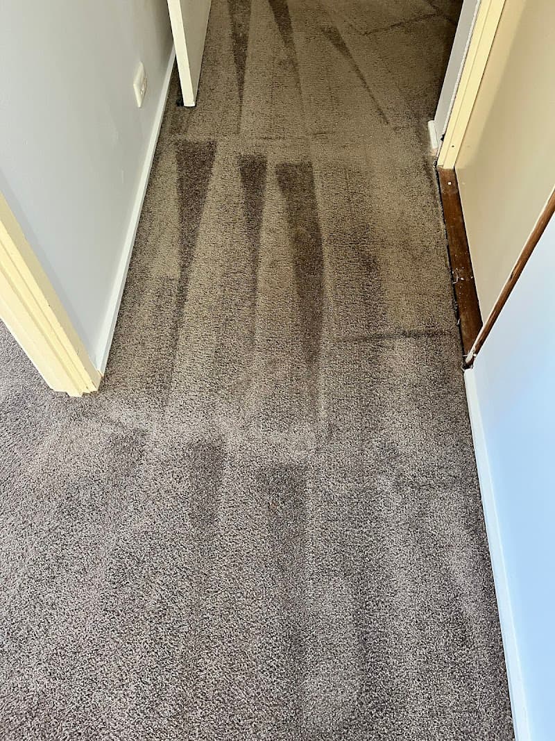 PRO-TECH Carpet Cleaning carpet cleaning work in Spence