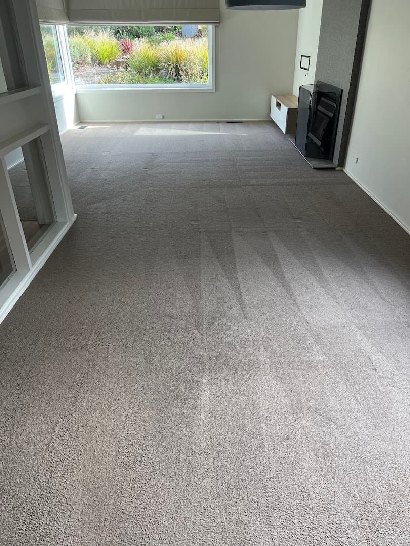PRO-TECH Carpet Cleaning carpet cleaning work in Spence