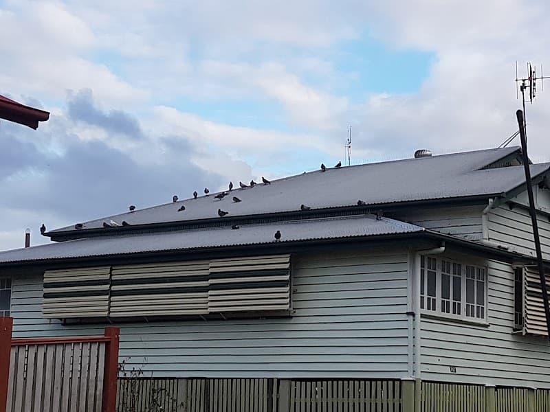 Proactive Service Solutions waterproofing work in Harlaxton