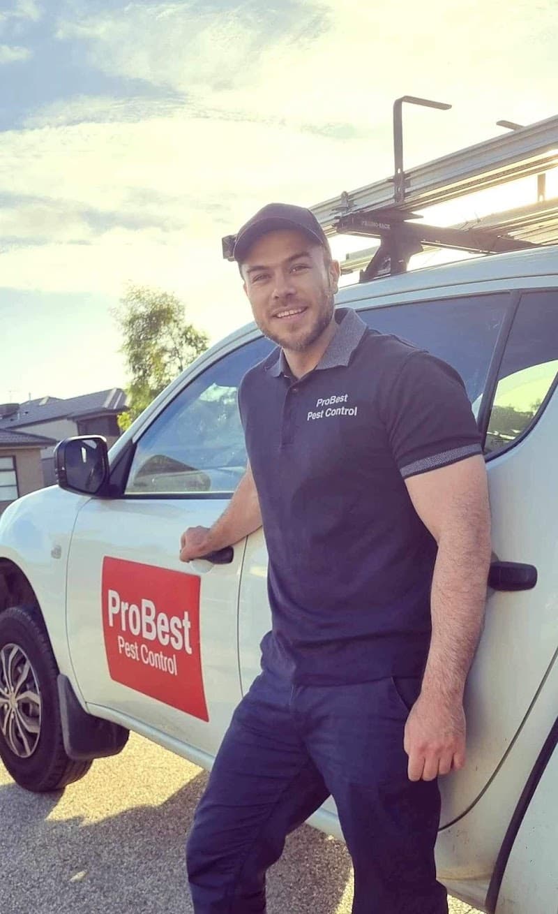Probest Pest Control pest control work in Hawthorn