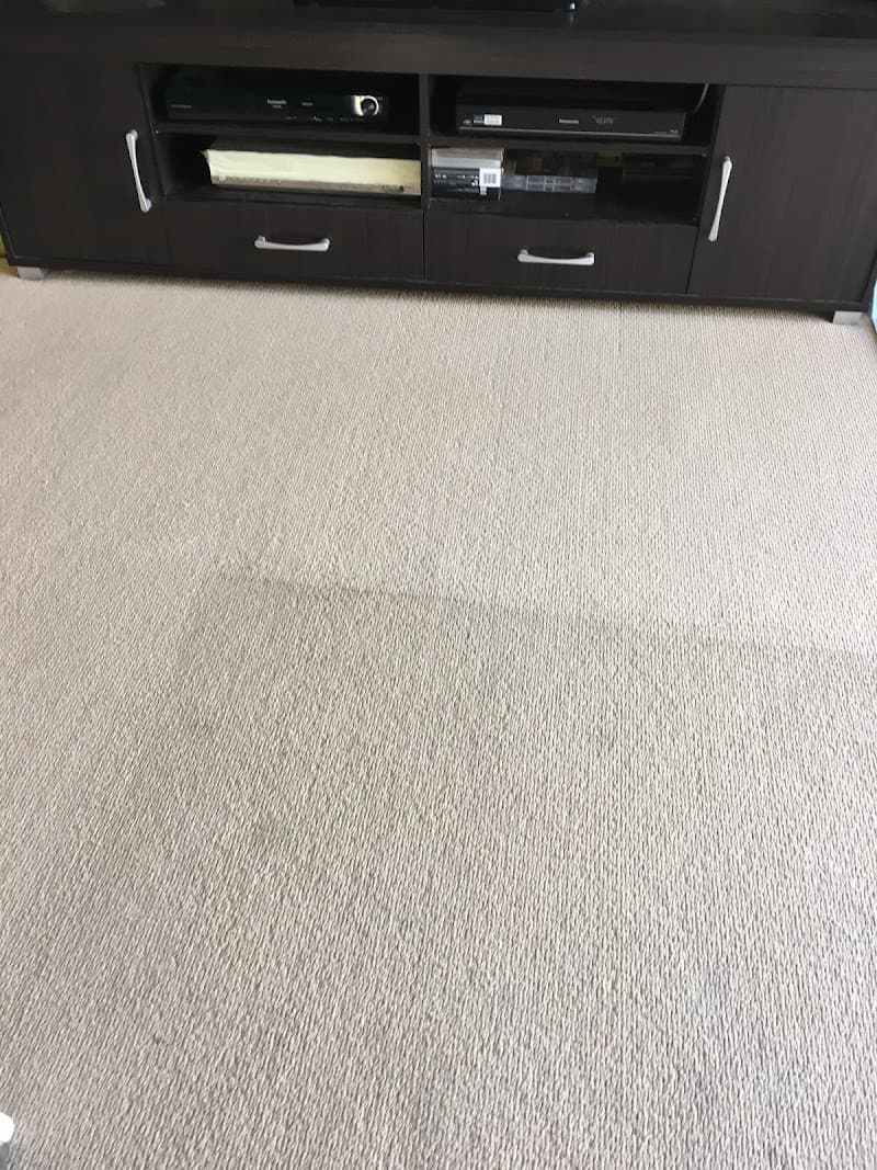 Professional Carpet Clean carpet cleaning work in Dandenong South