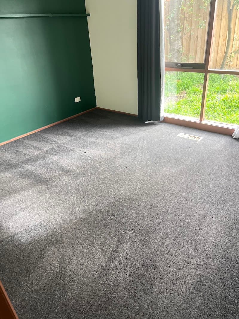 Professional Carpet Clean carpet cleaning work in Dandenong South