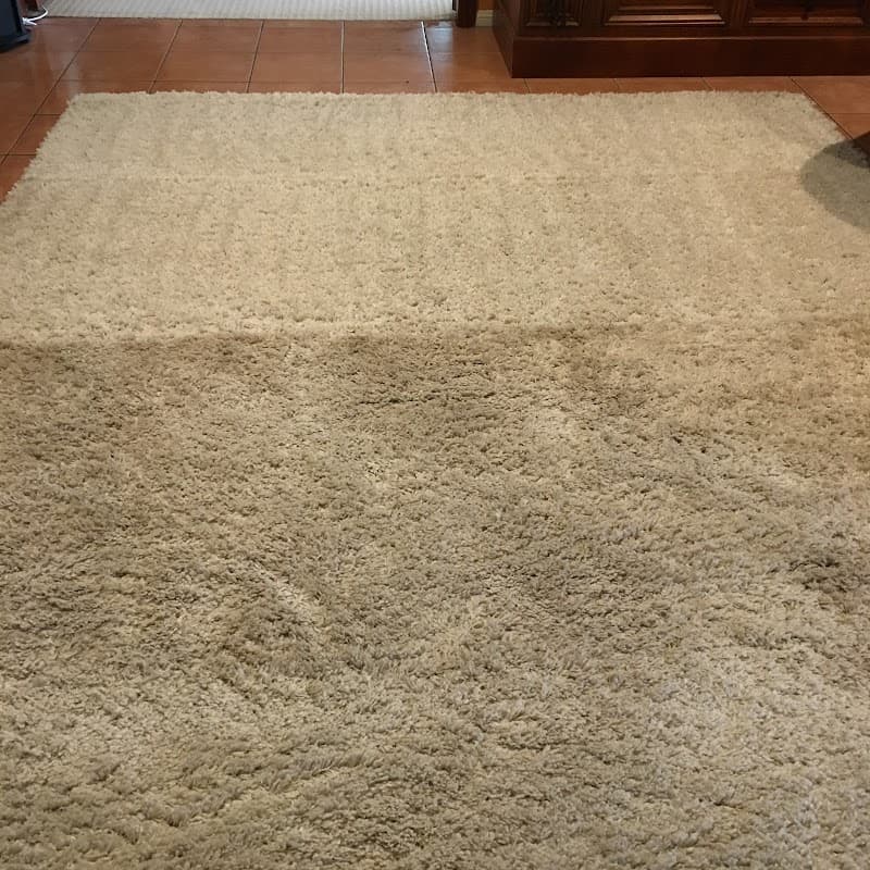 Professional Carpet Clean carpet cleaning work in Dandenong South