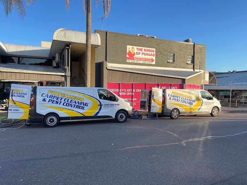 Professional Carpet Cleaning carpet cleaning work in Forresters Beach