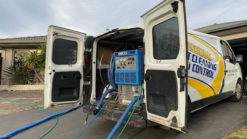 Professional Carpet Cleaning carpet cleaning work in Forresters Beach