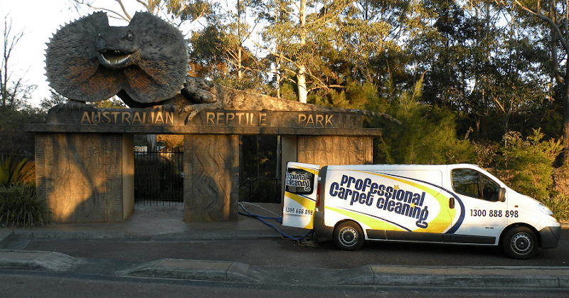 Professional Carpet Cleaning carpet cleaning work in Forresters Beach
