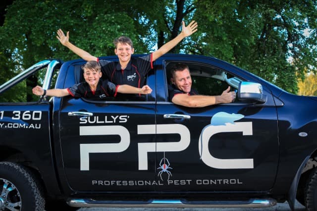 Professional Pest Control - A Flick Anticimex Company pest control work in Thurgoona