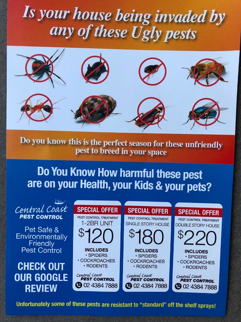 Professional Pest Control Central Coast pest control work in Forresters Beach