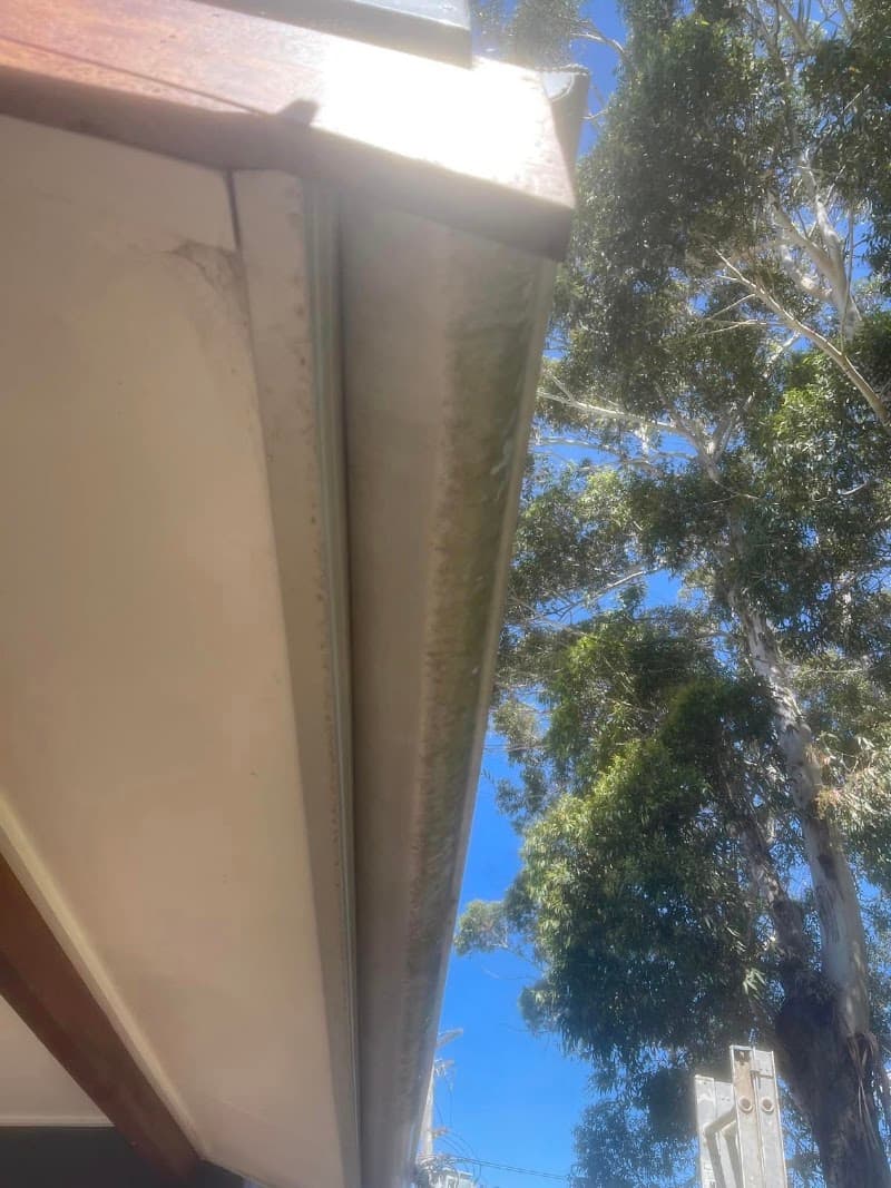 Professional Power Cleaning pressure washing work in Fountaindale