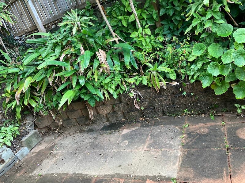 Professional Pressure Wash pressure washing work in Mermaid Beach