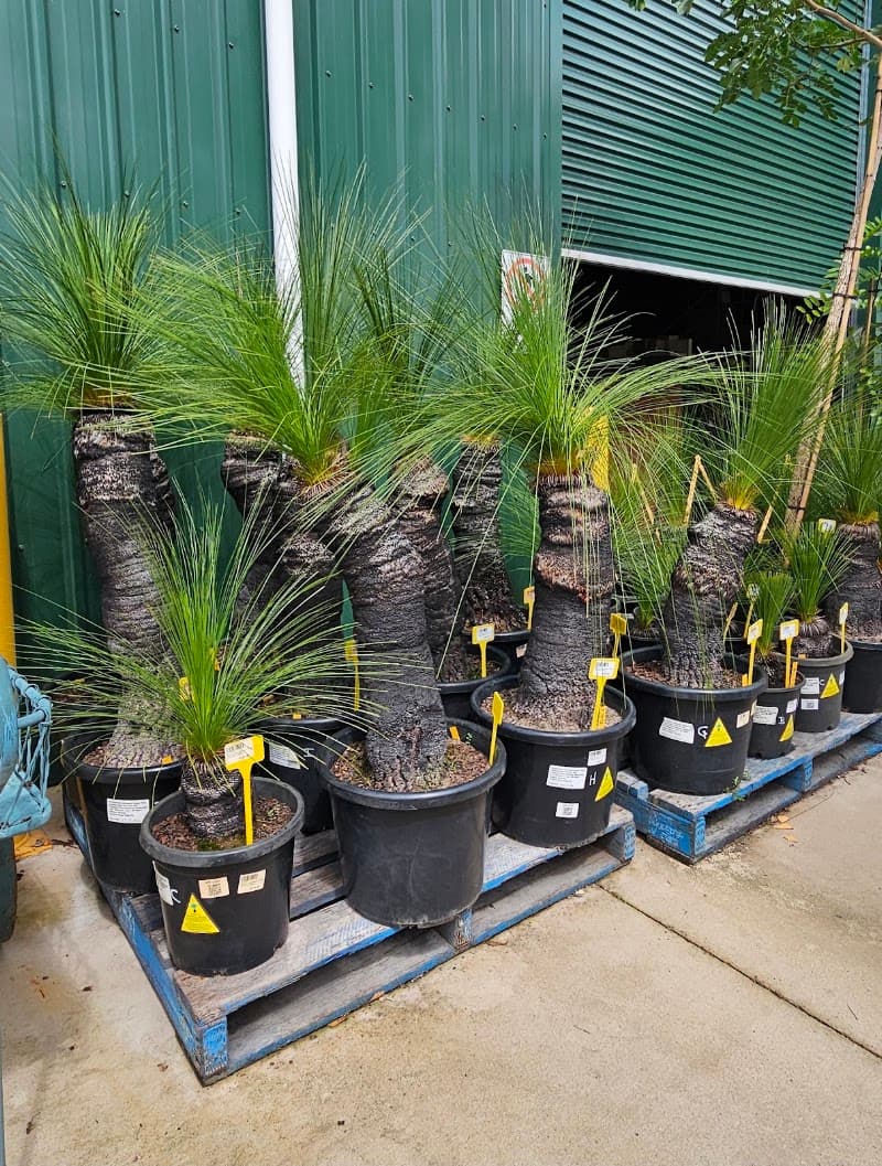 Project Plants Trade Centre landscaping work in Shaw