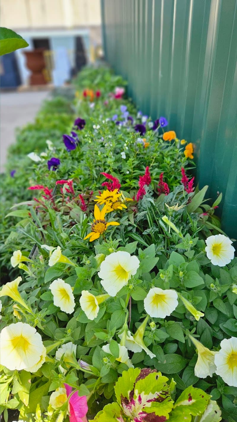 Project Plants Trade Centre landscaping work in Shaw