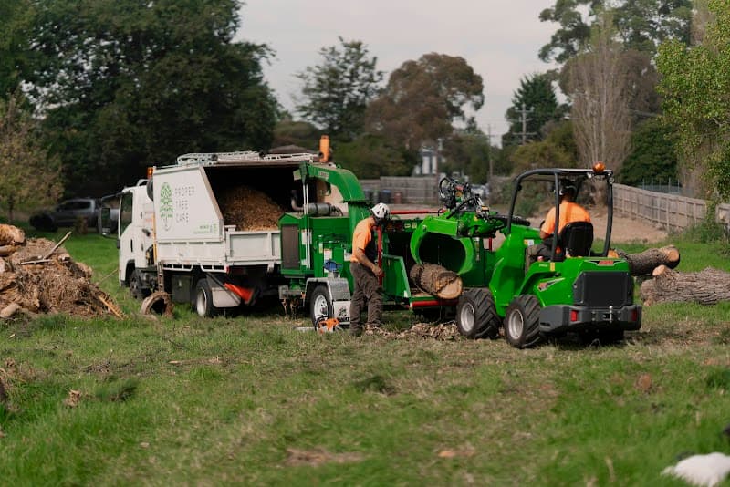 Proper Tree Care tree services work in Coburg