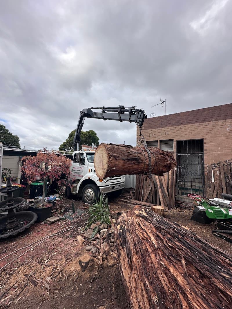 Proper Tree Care tree services work in Coburg