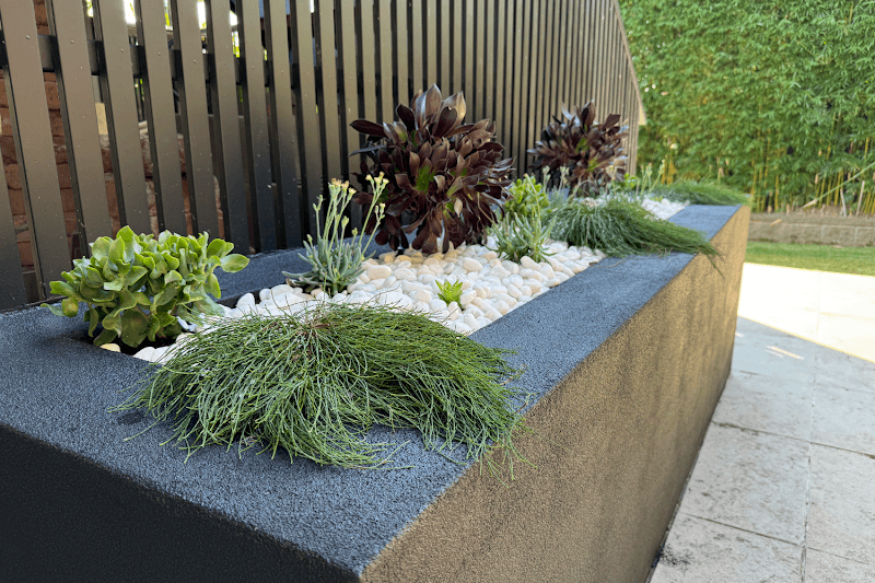 Property Garden Specialists gardening work in Queenscliff