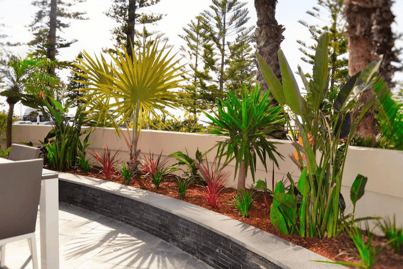 Property Garden Specialists gardening work in Queenscliff