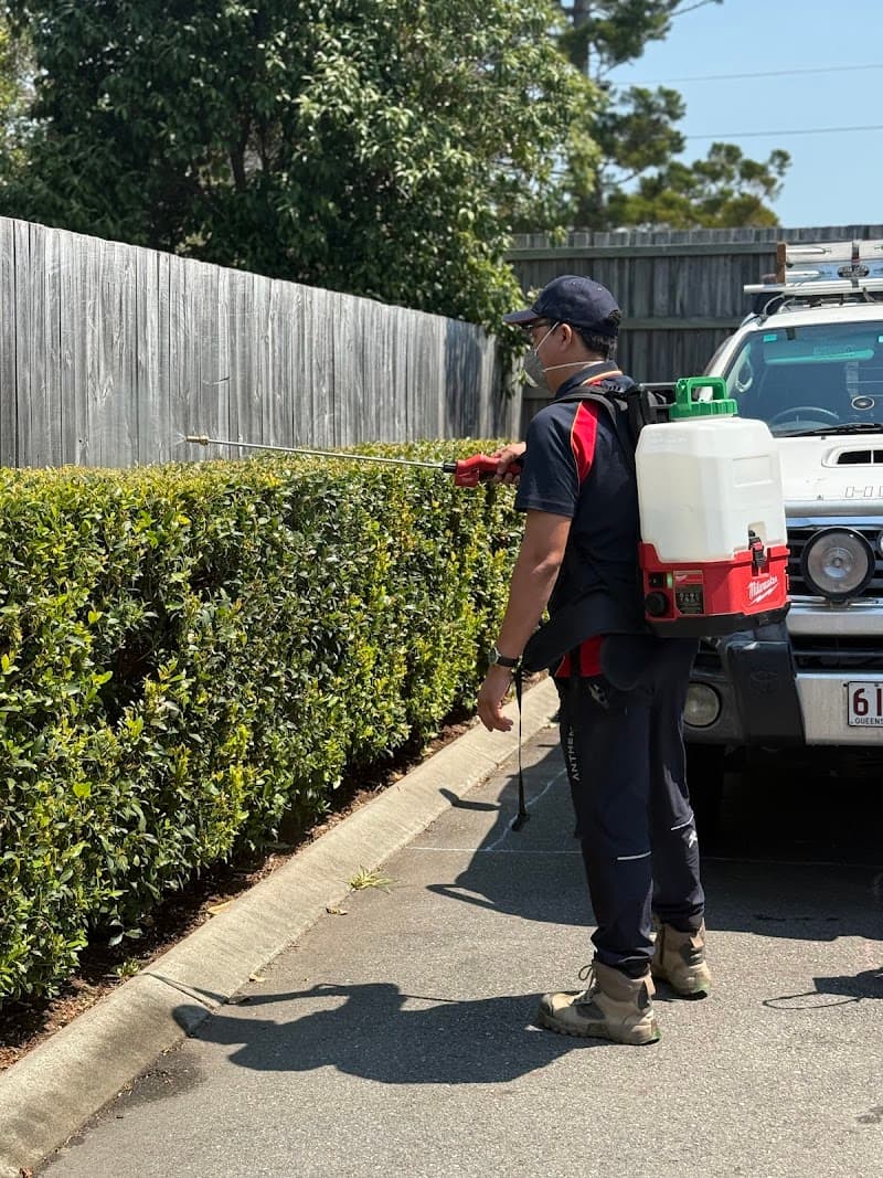 PROTECTIVE PEST MANAGEMENT pest control work in Marsden