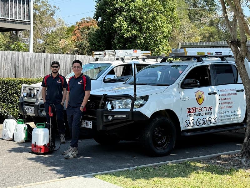 PROTECTIVE PEST MANAGEMENT pest control work in Marsden