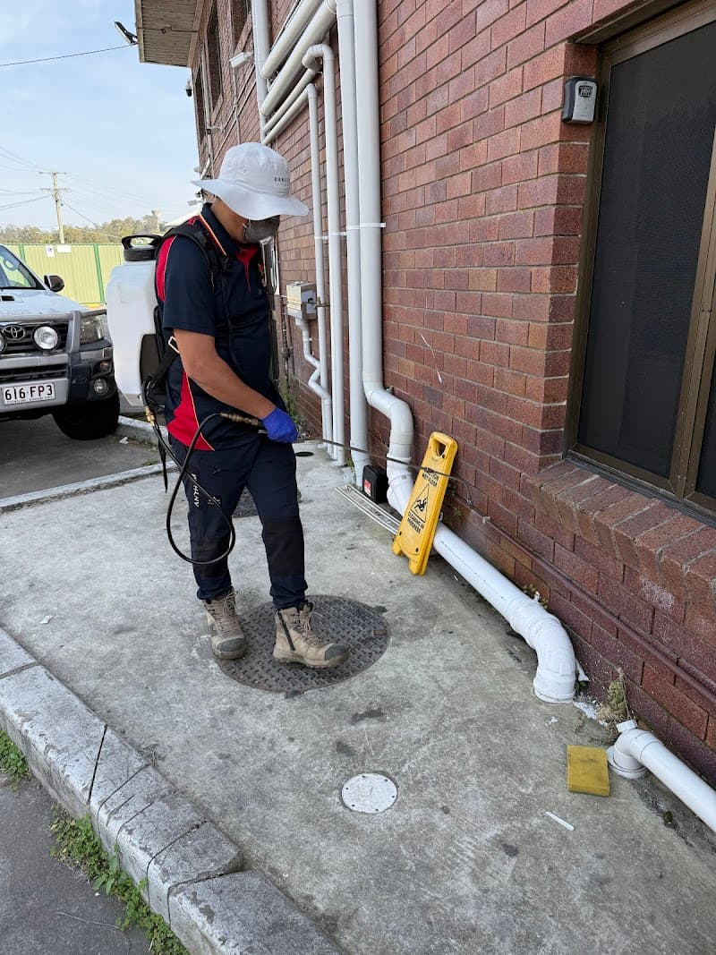 PROTECTIVE PEST MANAGEMENT pest control work in Marsden