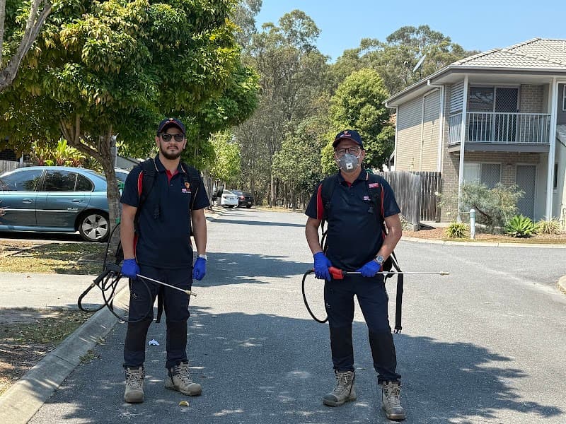 PROTECTIVE PEST MANAGEMENT pest control work in Marsden