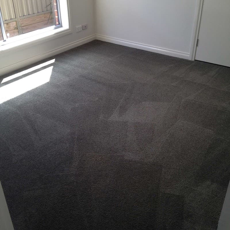 Proton Cleaning carpet cleaning work in Geelong