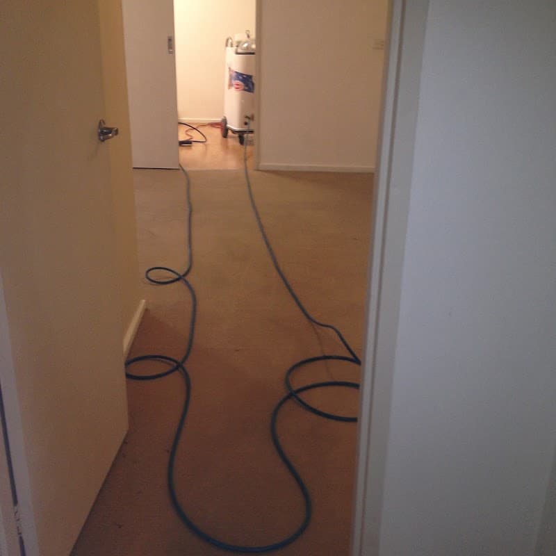 Proton Cleaning carpet cleaning work in Geelong