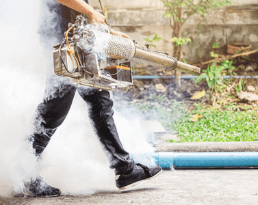 Pure Controls pest control work in Perth