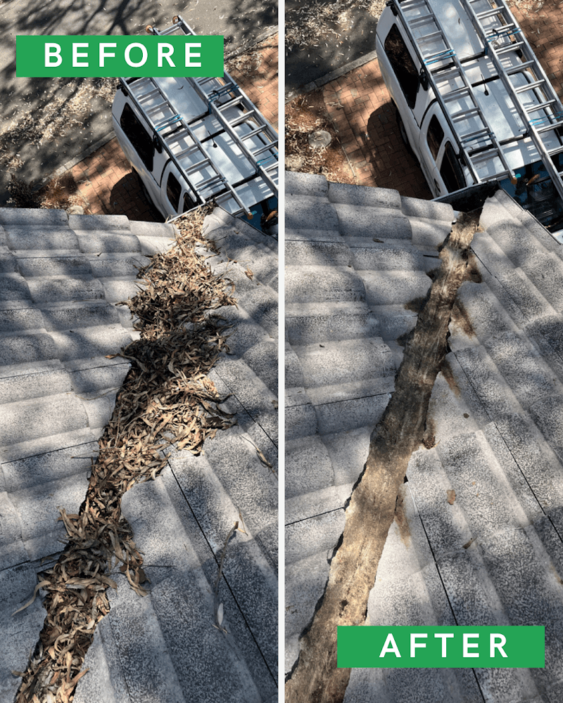 Pure Gutters gutter cleaning work in St Leonards