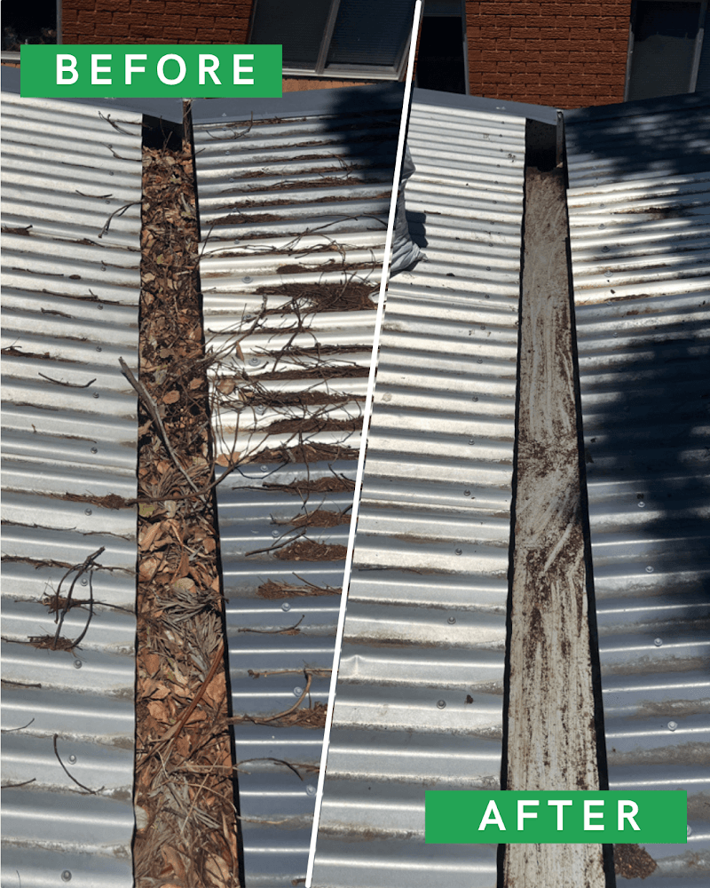 Pure Gutters gutter cleaning work in St Leonards