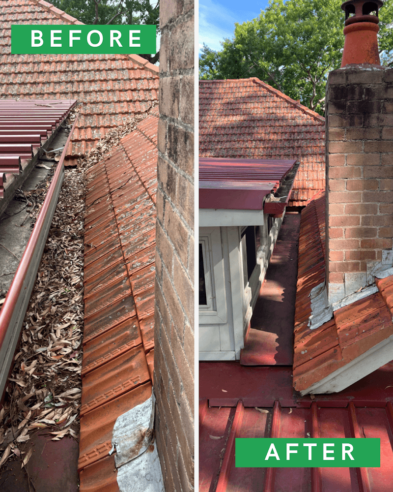 Pure Gutters gutter cleaning work in St Leonards