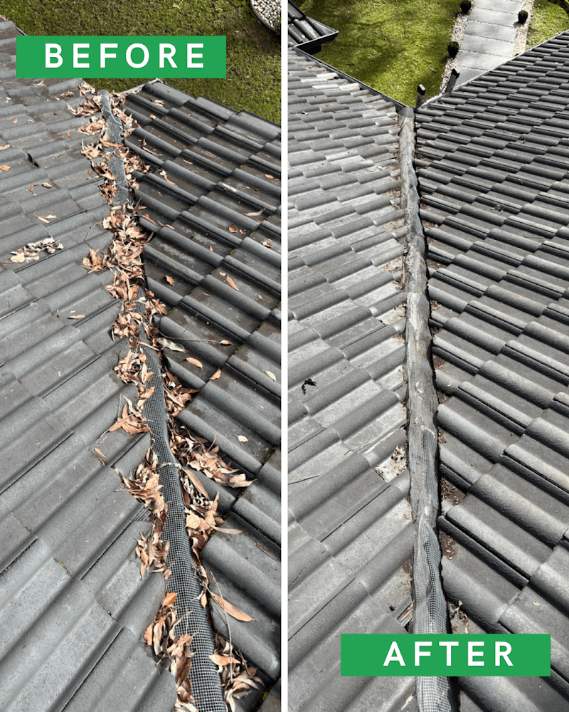 Pure Gutters gutter cleaning work in St Leonards