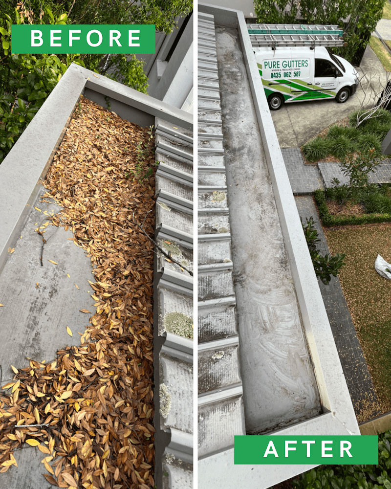 Pure Gutters gutter cleaning work in St Leonards