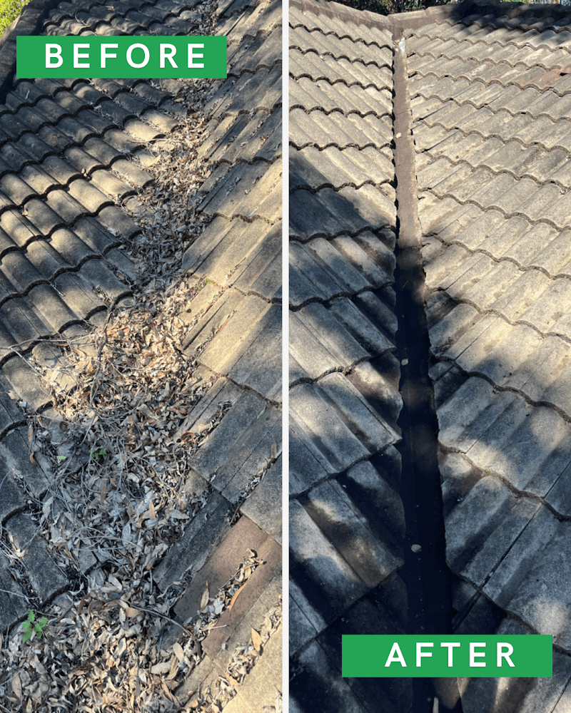 Pure Gutters gutter cleaning work in St Leonards