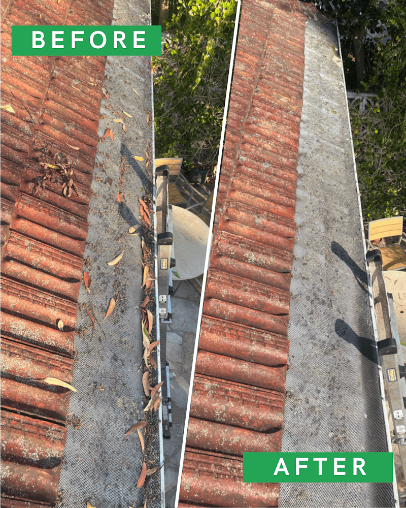 Pure Gutters gutter cleaning work in St Leonards