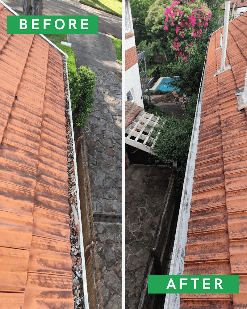 Pure Gutters gutter cleaning work in St Leonards