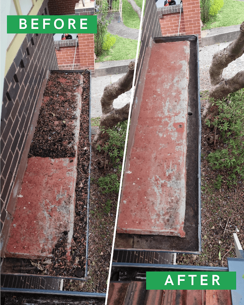 Pure Gutters gutter cleaning work in St Leonards