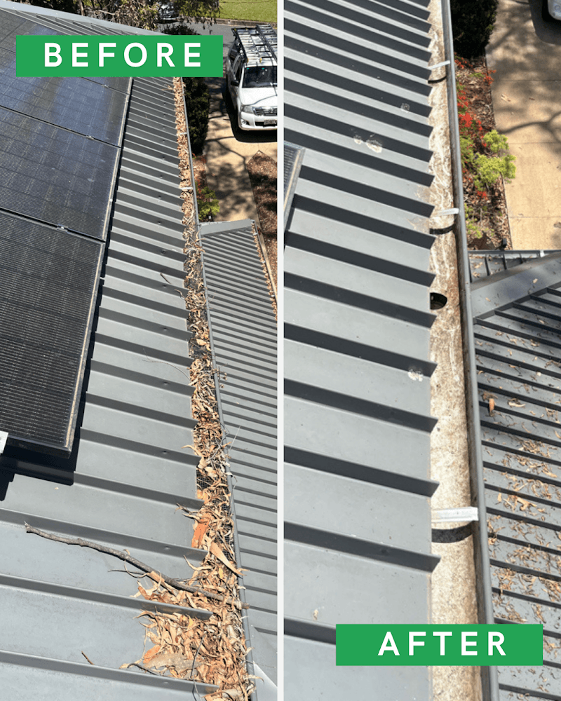 Pure Gutters gutter cleaning work in St Leonards